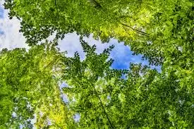 sustainable business